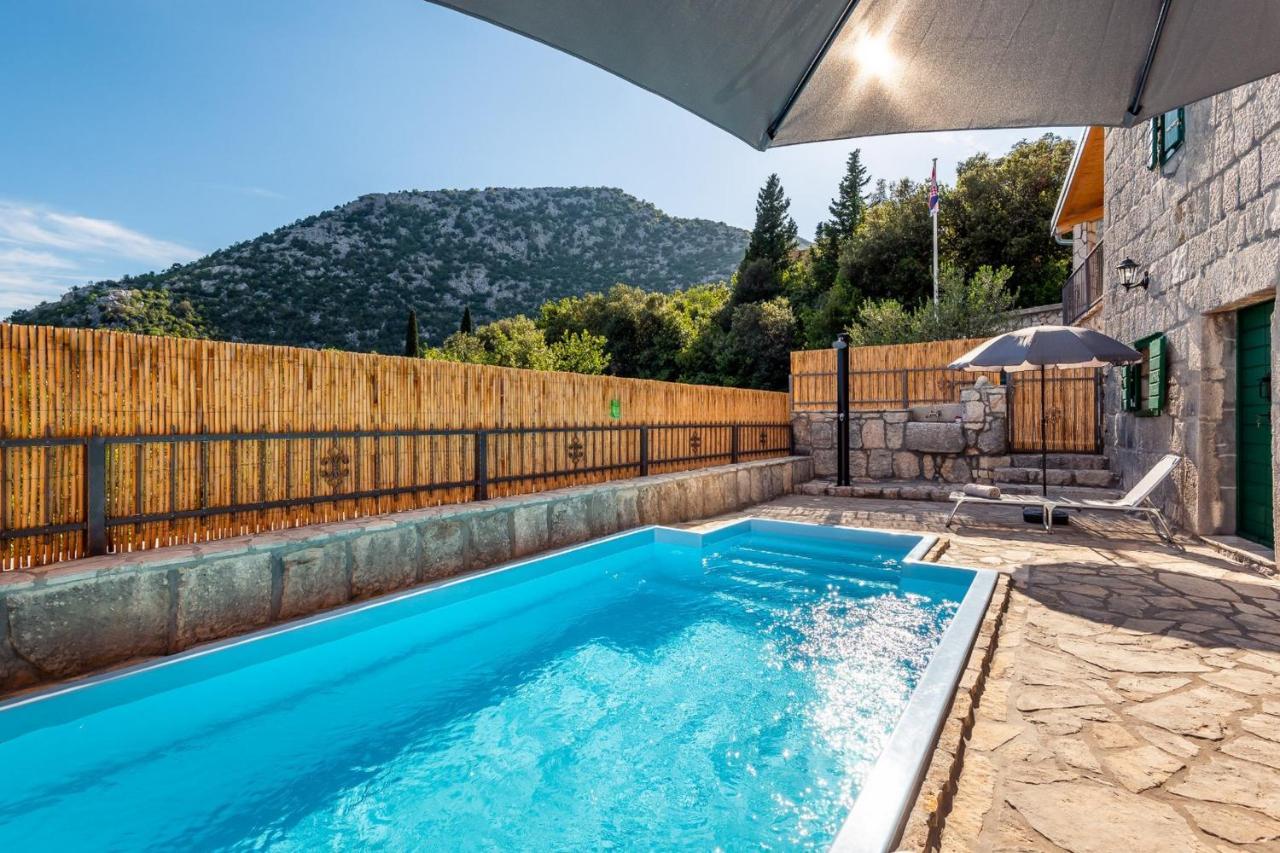 Villa Lazini Dvori Stasevica Exterior photo